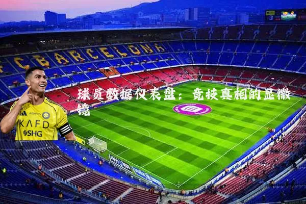 球员数据仪表盘：竞技真相的显微镜